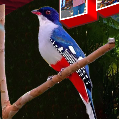 Photoshop Artwork